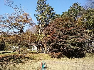 IMG_20171106_103821.jpg